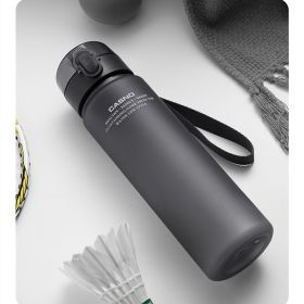 Sports Cup High Temperature Resistant Large Capacity Portable Anti-fall (Option: Gray-560 Ml)